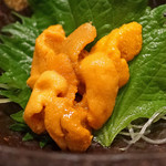 中俣酒造本店 銀座 茂助 - 塩水雲丹
