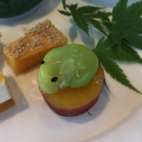 京懐石 美濃吉 横浜ランドマークプラザ店 - カエルちゃんアップ
                    