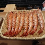 東麻布 天本 - とても大きい車海老