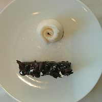 Benoit Alain Ducasse - 