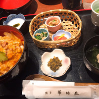 博多華味鳥 銀座4丁目店 - 