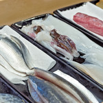 Sushiooneda - 