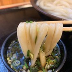 手打十段 うどんバカ一代 - モチモチの旨いヤツでした♪