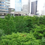 ラーメン二郎 - 品川セントラルガーデンの緑も色鮮やかに