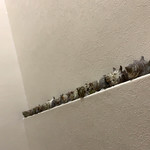 炭火焼居酒屋あかつき - 内観
