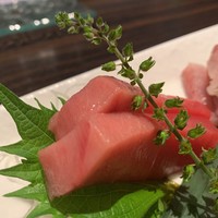 鮨 やまけん 銀座店 - 