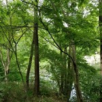 Furiko Sabou - 窓からの眺め