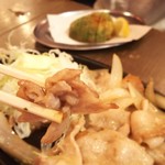 Tohoku Mutsumi