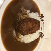 カレー堂 堀江店