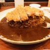 博多とんかつ あんず食堂 博多店