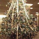 レ セゾン - 11.12.23