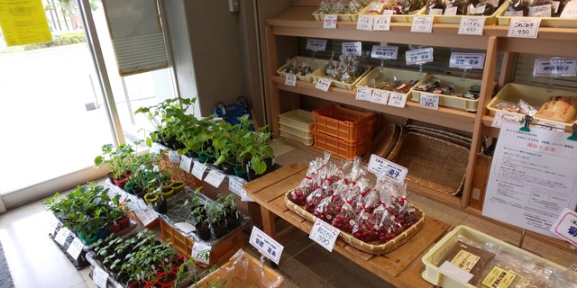 高畠町太陽館 - 高畠（その他）の写真