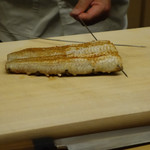 道人 - 海うなぎ