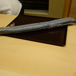 道人 - 海うなぎの生