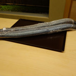 道人 - 海うなぎの生