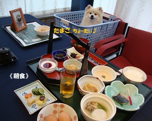 Karoforesutanasukougenvorupe 那須 黒磯 其他 食べログ 繁體中文 Karoforesutanasukougenvorupe 那須 黒磯 其他 食べログ 繁體中文