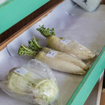 中村製麺所 - 甘藍（はぼたん）＋蘿蔔（おほね）