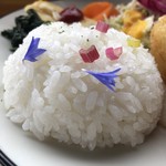 カフェアンドショップ ロータスランド - 2019/06/12 週替
      新玉ねぎ大豊作！感謝プレート 550円
      ・新玉ねぎのカップグラタン・新玉ねぎ入りプレーンオムレツ・エンサイ炒め・オニオンスープ・赤玉ねぎのスライス・フレッシュサラダ・ごはん