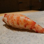 鮨 さいとう - 車海老