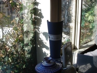 Minerva Sabou - サンルーム席！