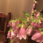 珈琲専門店 杜 - 店内にいつもお花がたくさん。
      (ママさんが庭で育てたホタルブクロだそうです)