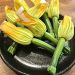 横浜 反町 ダホーリー - 