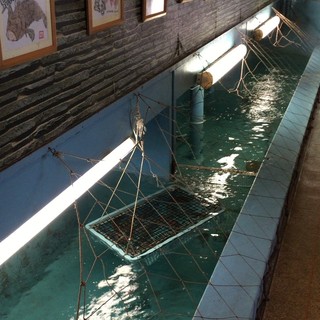 レストラン よし川_0