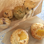 HARU - 料理写真: