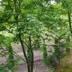 Morimori Tei - 窓からの眺め