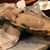 鮨 波やし - 牡蠣