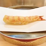 くすのき - 車海老。背中の切れ込みのおかげで赤と白のコントラストがとても綺麗です。まずはそのまま味わいます。