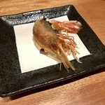 nakamatashuzouhontenginzamosuke - 牡丹海老（北海道 古平）の頭を揚げて