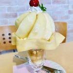 アオイ農園　ぶどうの木 - 運ばれてきました！、