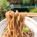 池内うどん店 - 