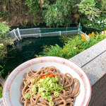 池内うどん店 - 