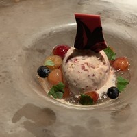 ヴィヴァッカス - 