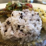 カレーのアキンボ - 