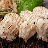 あなご焼き霜造り