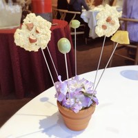 Convivio - お花畑のようなキュートなアミューズ♡