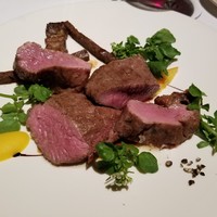 ブレストンコート ユカワタン - 