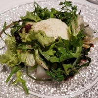 ブレストンコート ユカワタン - 