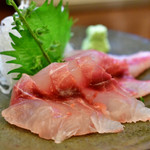 喰処 みはる - イサキ刺身@650円：別角度で。