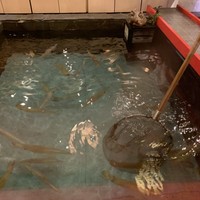 いけす鶴八 新栄店 - 