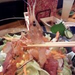 じゃんけんポン - 特製じゃんけんサラダ