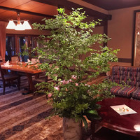 鎌倉山 本店 - 