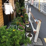 河本 - 植木鉢たち