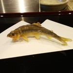 天ぷら たけうち - 稚鮎