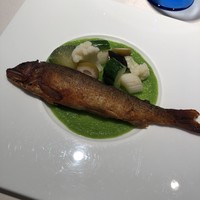キメラ - 