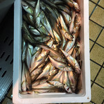 山田鮮魚店 - 