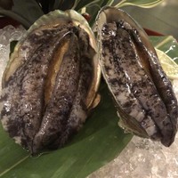 表参道うかい亭 - 